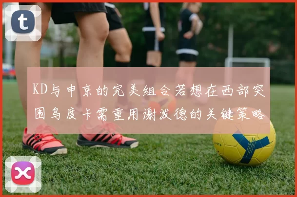 KD与申京的完美组合若想在西部突围乌度卡需重用谢泼德的关键策略