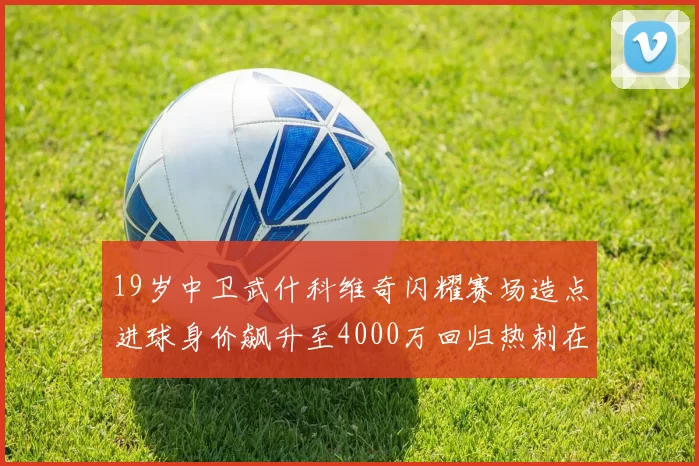 19岁中卫武什科维奇闪耀赛场造点进球身价飙升至4000万回归热刺在即